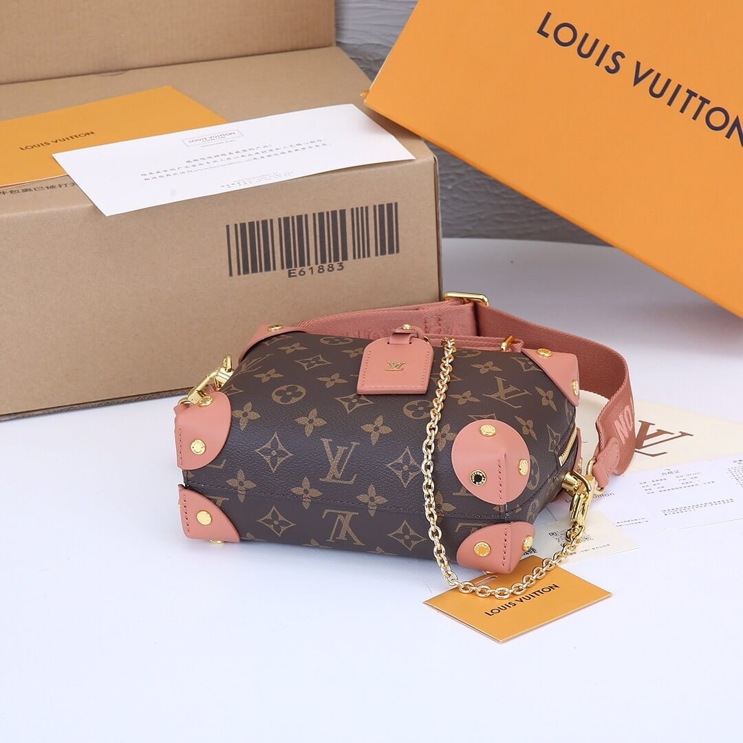 LV Petite Malle Souple Handbag