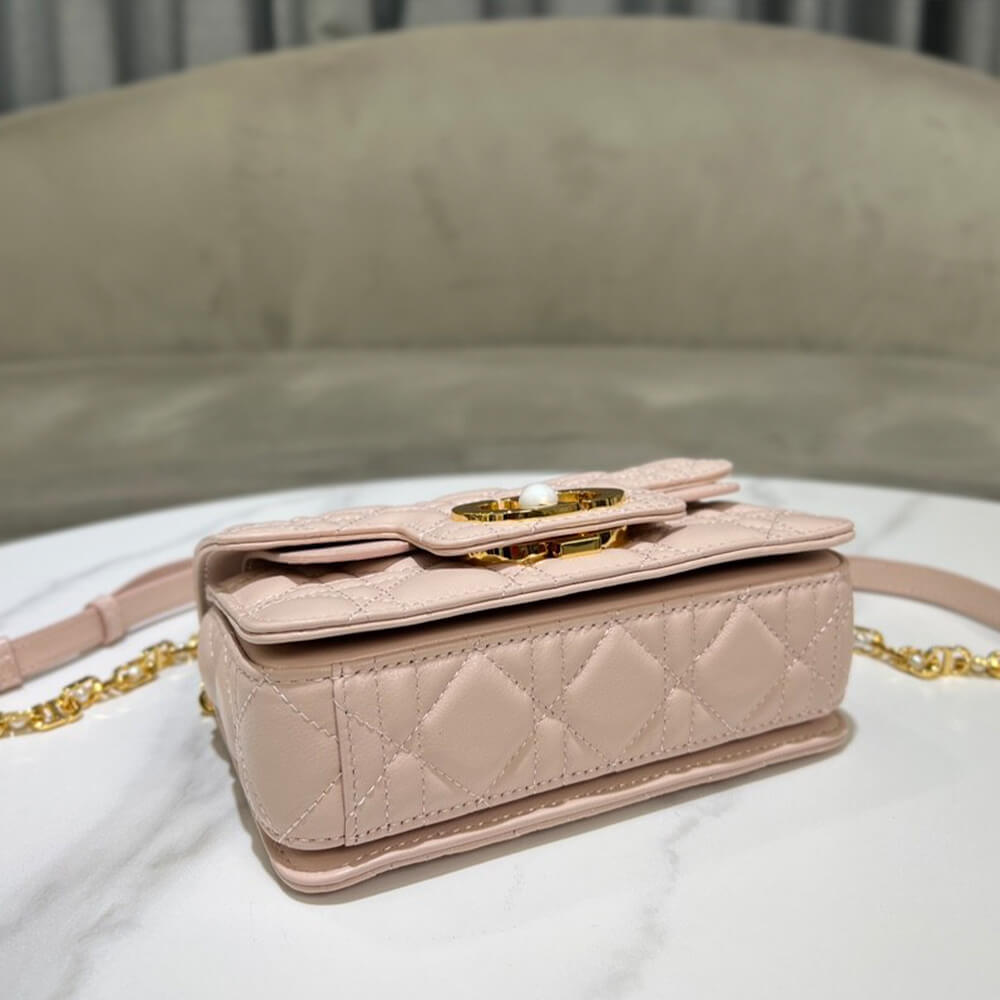 small D*or jolie handbag