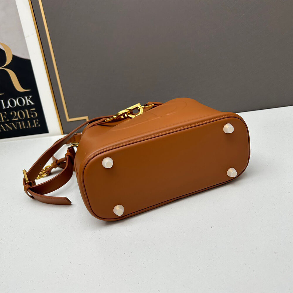 medium c’est D*or bag